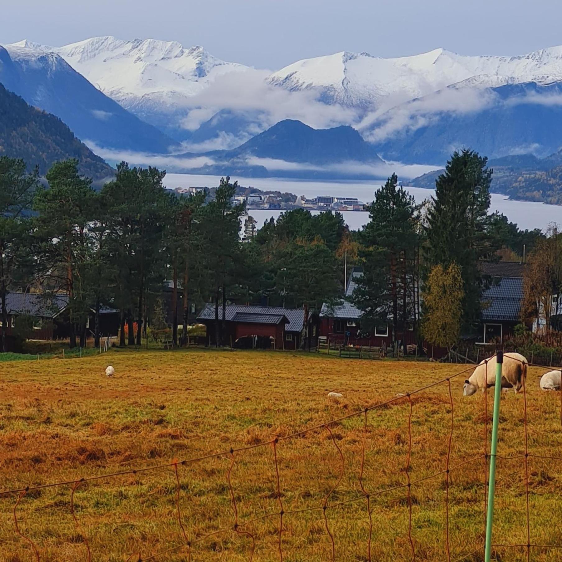 Gæstehus Romsdalseggen Isfjorden